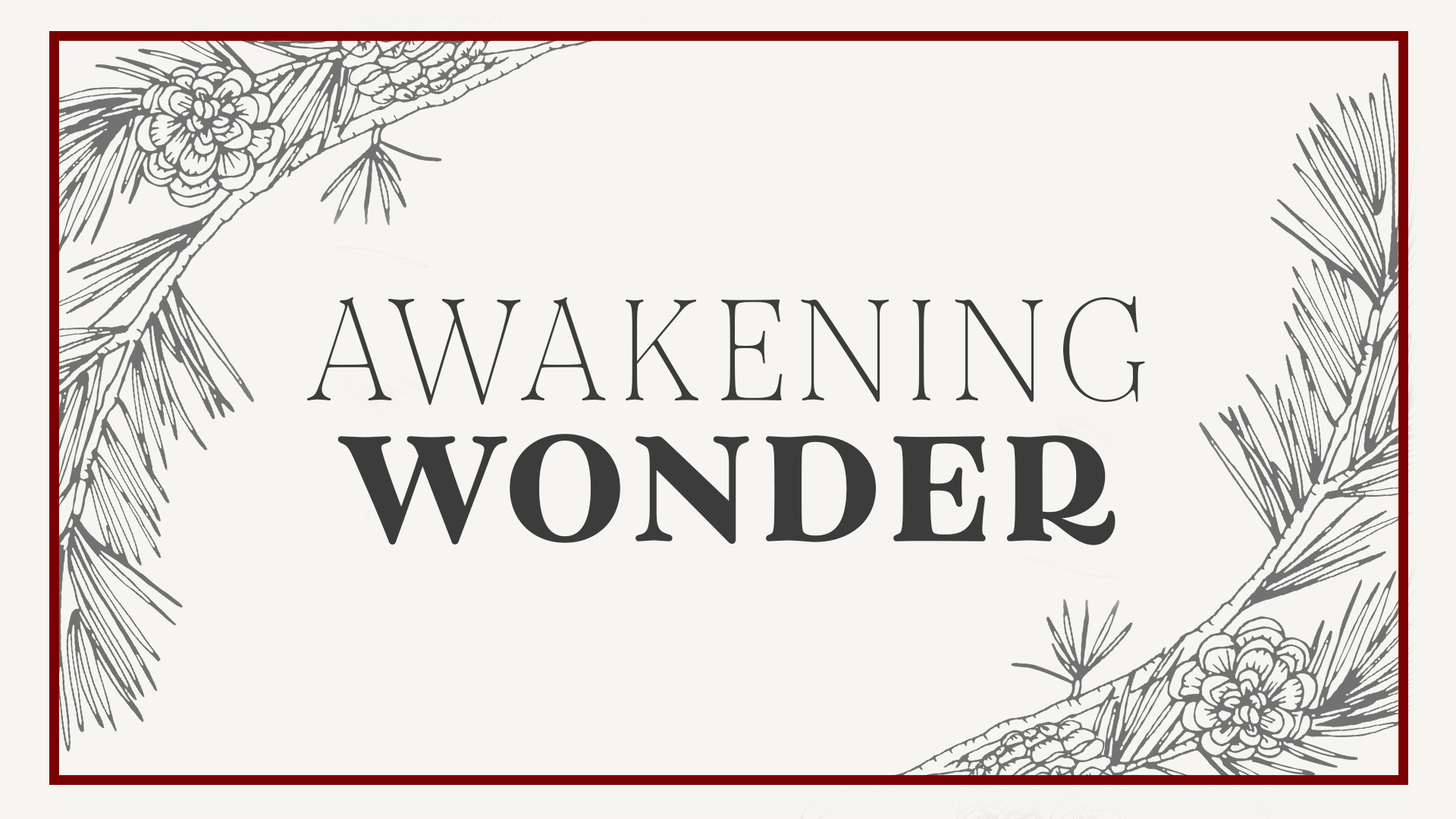 awakening wonder sally clarkson