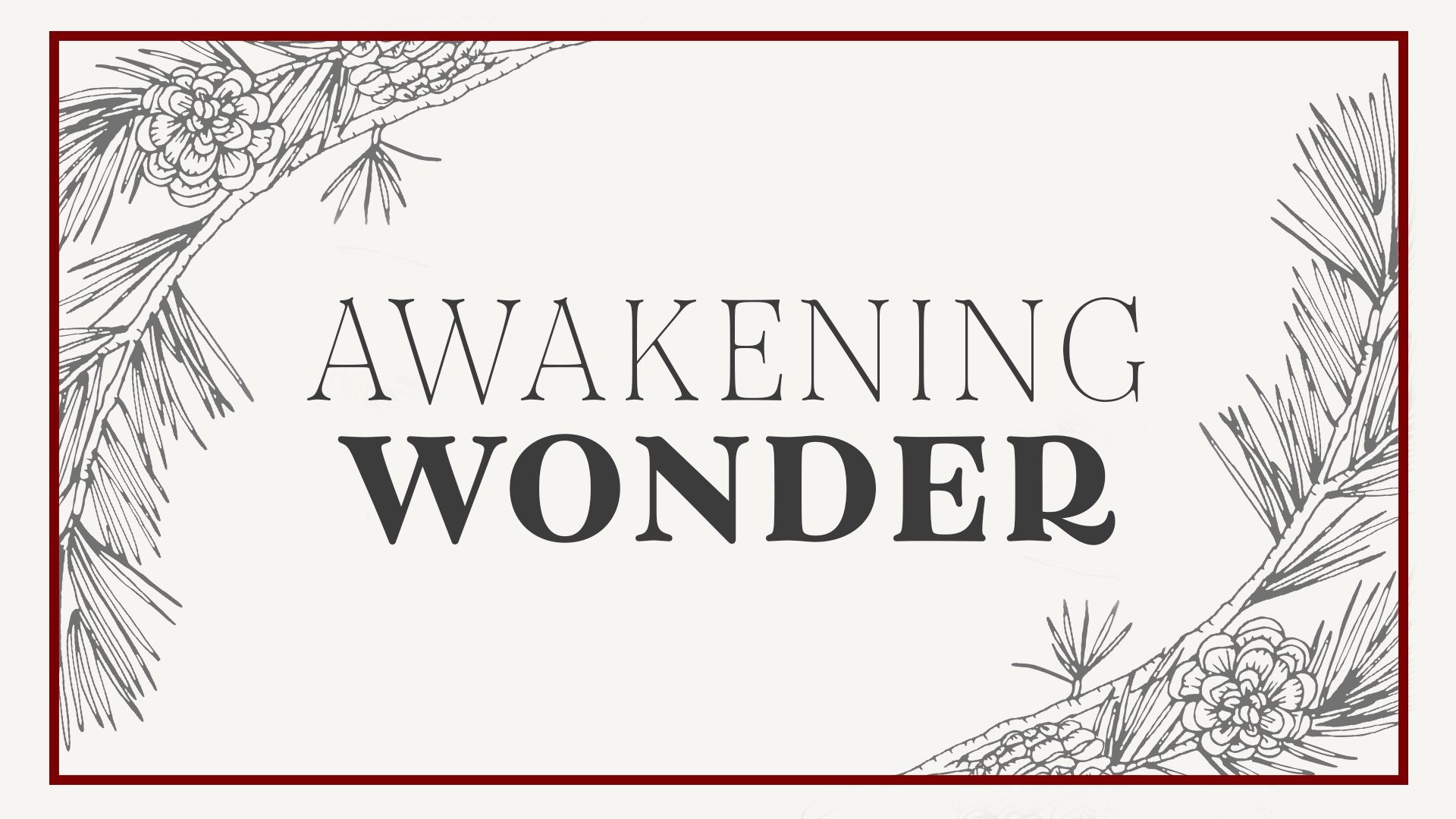 Awakening Wonder