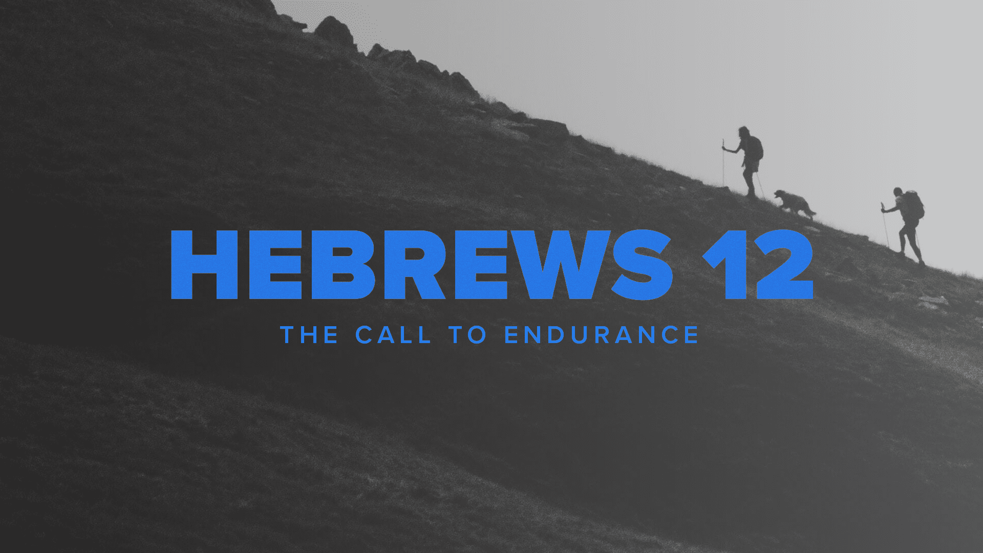 Hebrews 12: The Call to Endurance